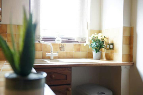 Windsor Lane, Slough  - Gallery -  5