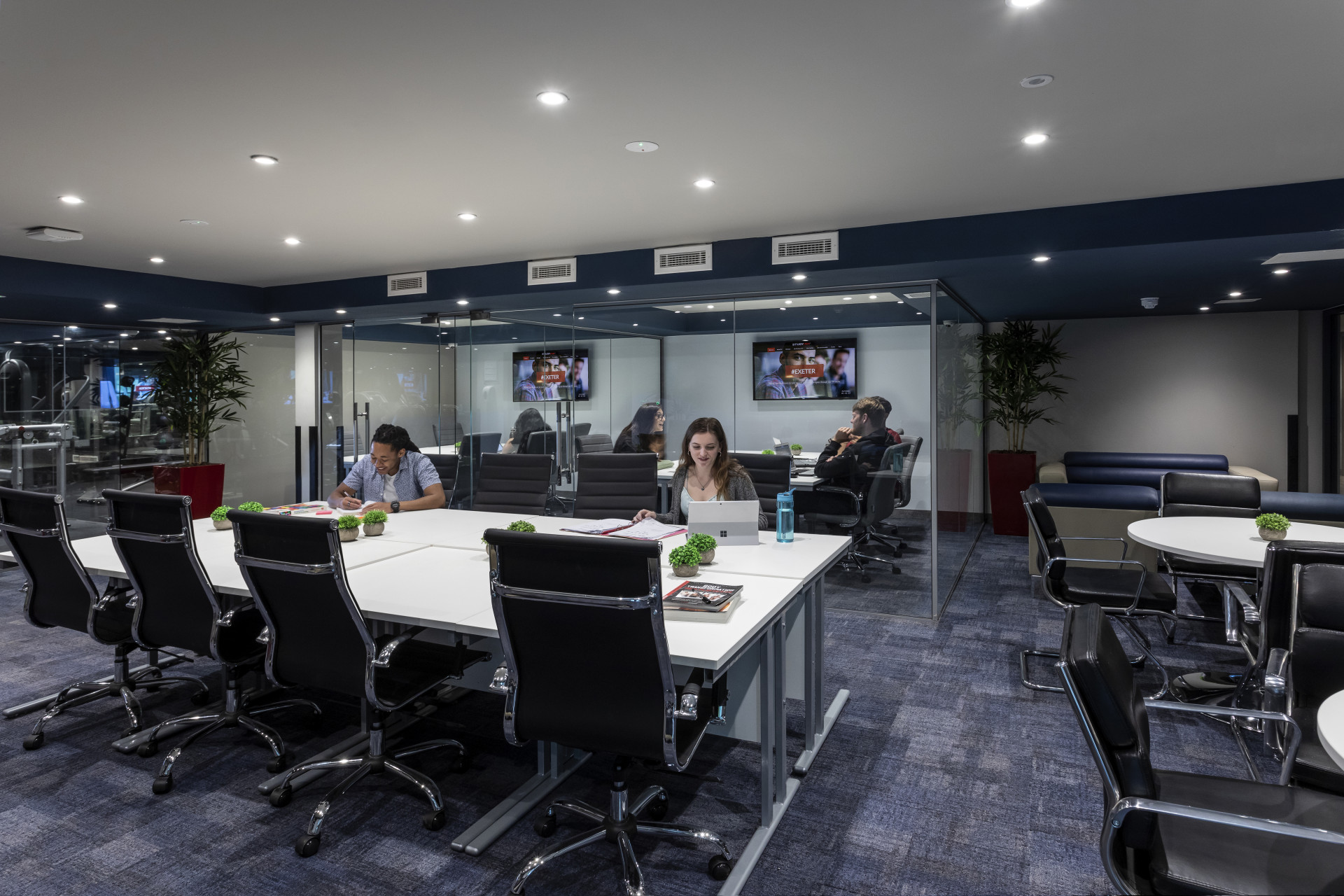 Sapphire Studio  -  Walnut Gardens  - Gallery -  28