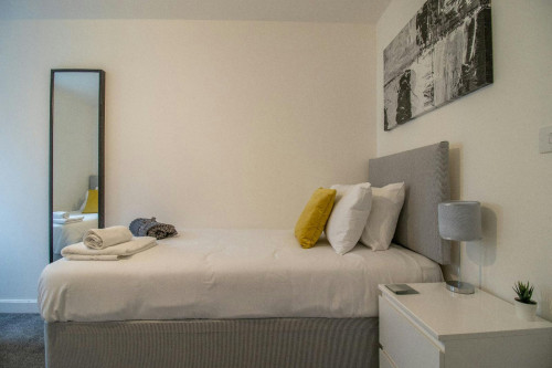 Stirrat Crescent, Paisley - Gallery - 8