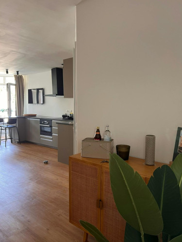 Wachsbleiche, Bonn - Gallery - 13