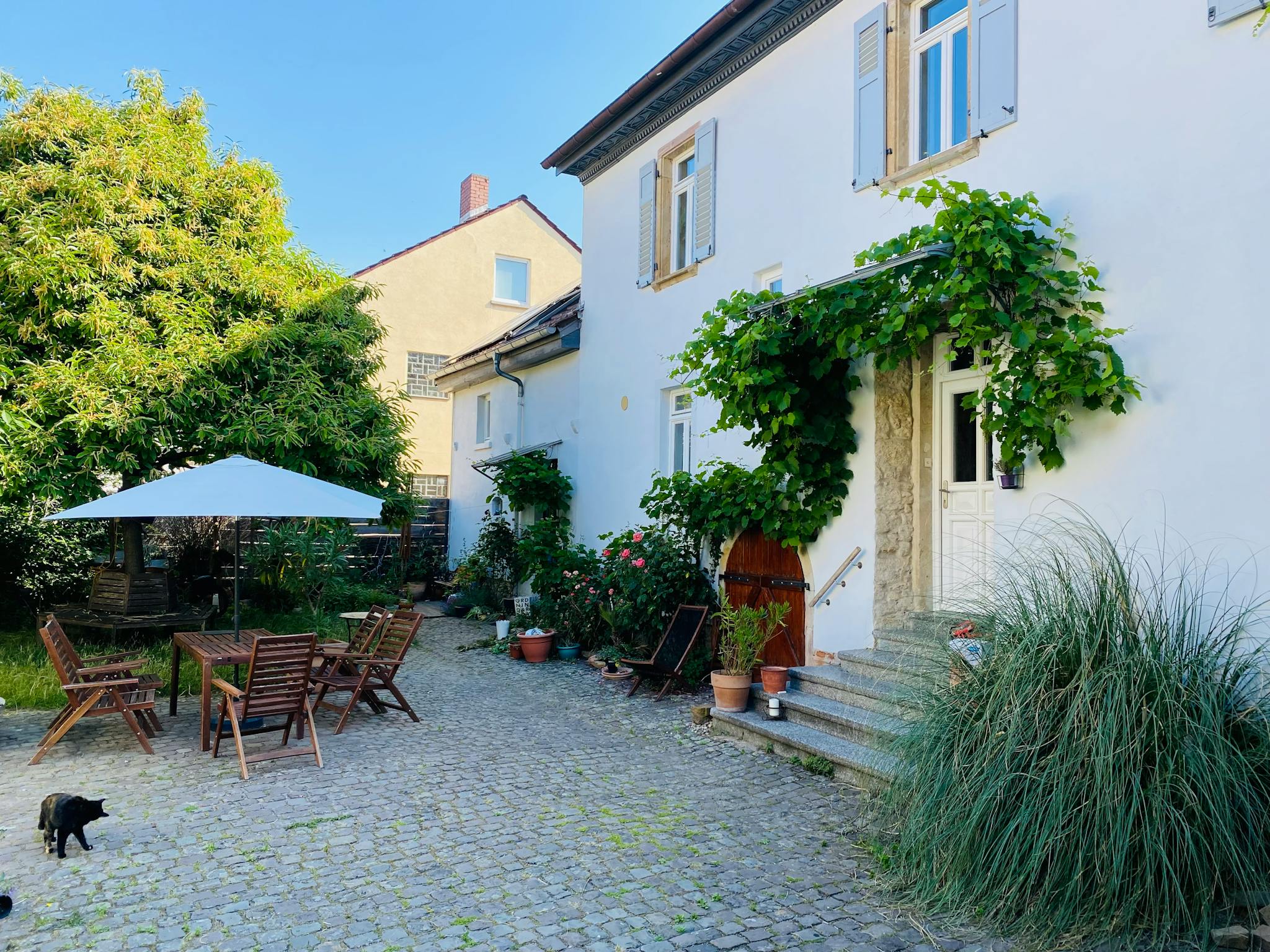  Entire Place  -  Wilhelmsstraße, Mainz  - Gallery -  1