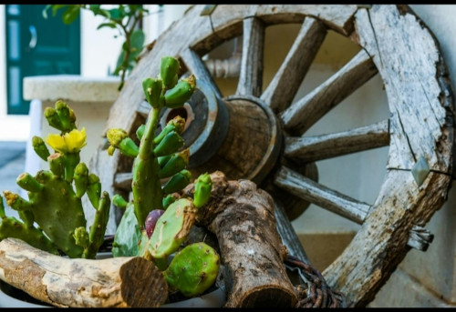 Cortile Agosta, Avola - Gallery - 6