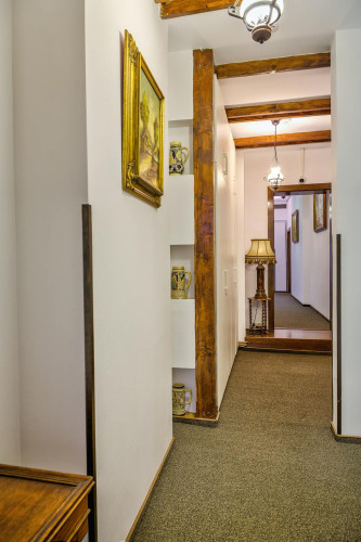 Strada Castanilor, Braşov - Gallery - 10