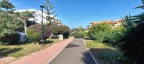Calle Cardón, Puerto de la Cruz  - Gallery -  5