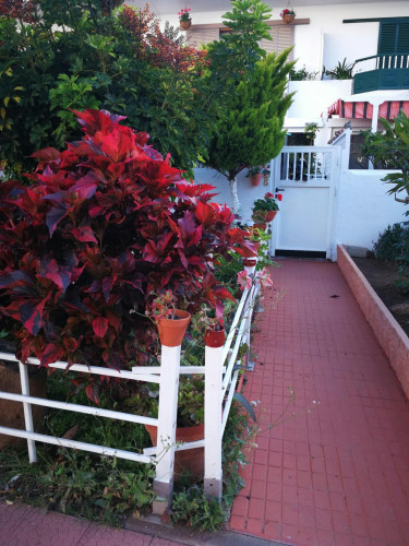 Calle Cardón, Puerto de la Cruz
