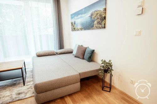 Lastenstraße, Graz