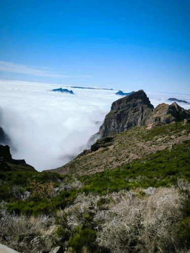 Rua 6 de Maio, Ribeira Brava  - Gallery -  5