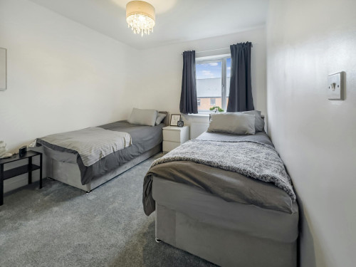 College Row, Ashford - Gallery - 7
