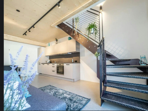 Mozartstraße, Linz  - Gallery -  5