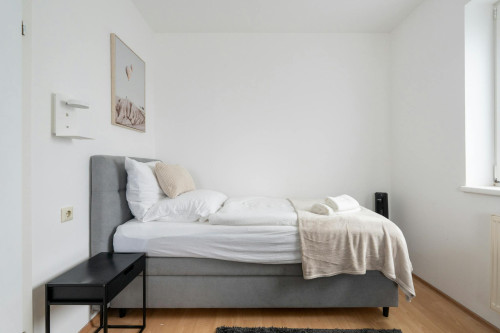 Taschelried, Steyr - Gallery - 9