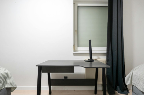 Taschelried, Steyr - Gallery - 8