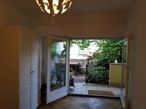 Klingenteichstraße, Heidelberg