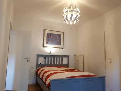 Klingenteichstraße, Heidelberg