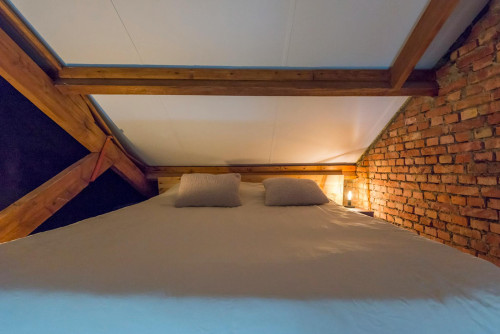 Petrus Dondersstraat, Eindhoven - Gallery - 9