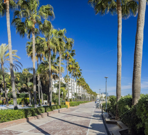 Calle Llano de San Ramón, Marbella - Gallery - 8