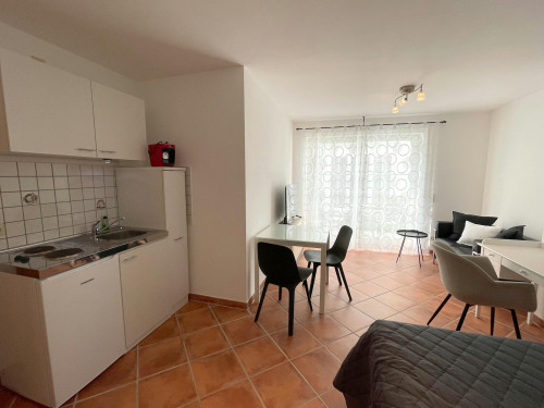 Handschuhsheimer Landstraße, Heidelberg