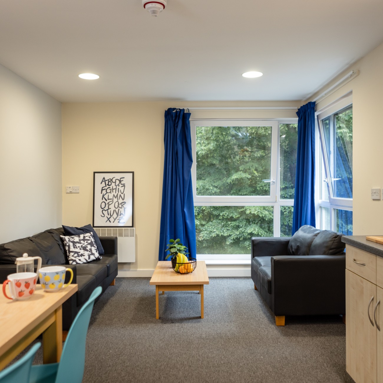 Standard - Bonington Student Village - Gallery - 5