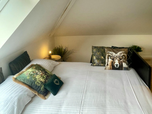 Rik Woutersstraat, Mechelen - Gallery - 10