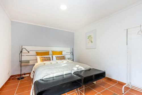 Rua dos Afoitos, Colares - Gallery - 14