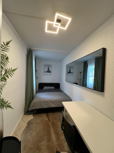 Professor-Angermair-Ring, Garching bei München