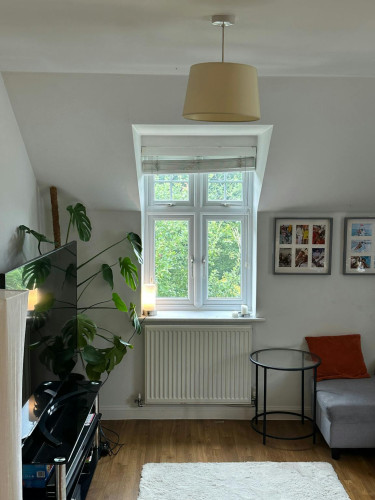 Mackintosh Street, Bromley - Gallery - 6