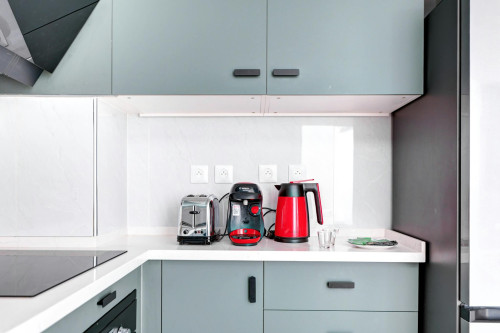 Rue du Faubourg Saint-Martin, Paris