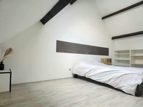 De Ridderstraat, Aalst - Gallery - 9