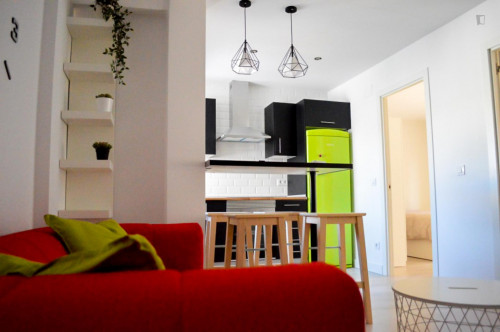 Bright single ensuite bedroom in a 3-bedroom apartment near Amistat-Casa de Salut metro station