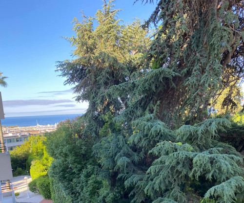 Avenue du Roi Albert 1er, Cannes