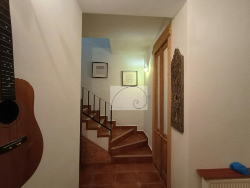 Strada Popa Nan, Bucharest - Gallery - 7