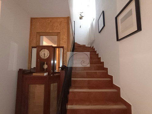 Strada Popa Nan, Bucharest - Gallery - 6