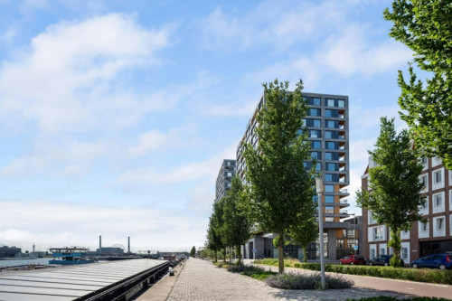 Maashaven Noordzijde, Rotterdam  - Gallery -  5