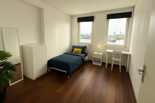 Maashaven Noordzijde, Rotterdam