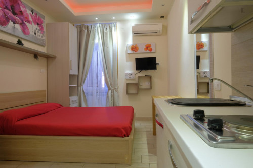 Charming studio near the Ponte Lungo metro station