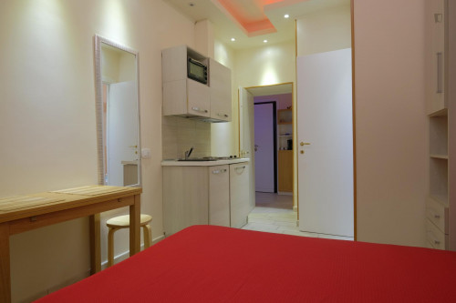 Charming studio near the Ponte Lungo metro station