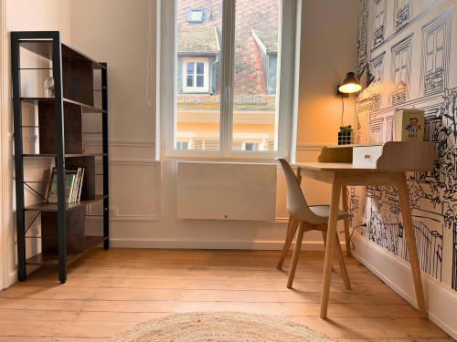 Rue des Franciscains, Mulhouse - Gallery - 6