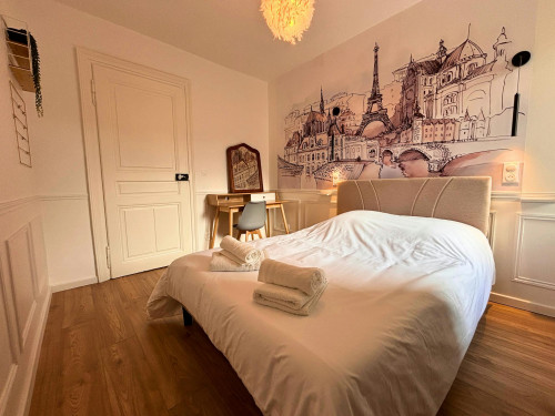 Rue des Franciscains, Mulhouse - Gallery - 7