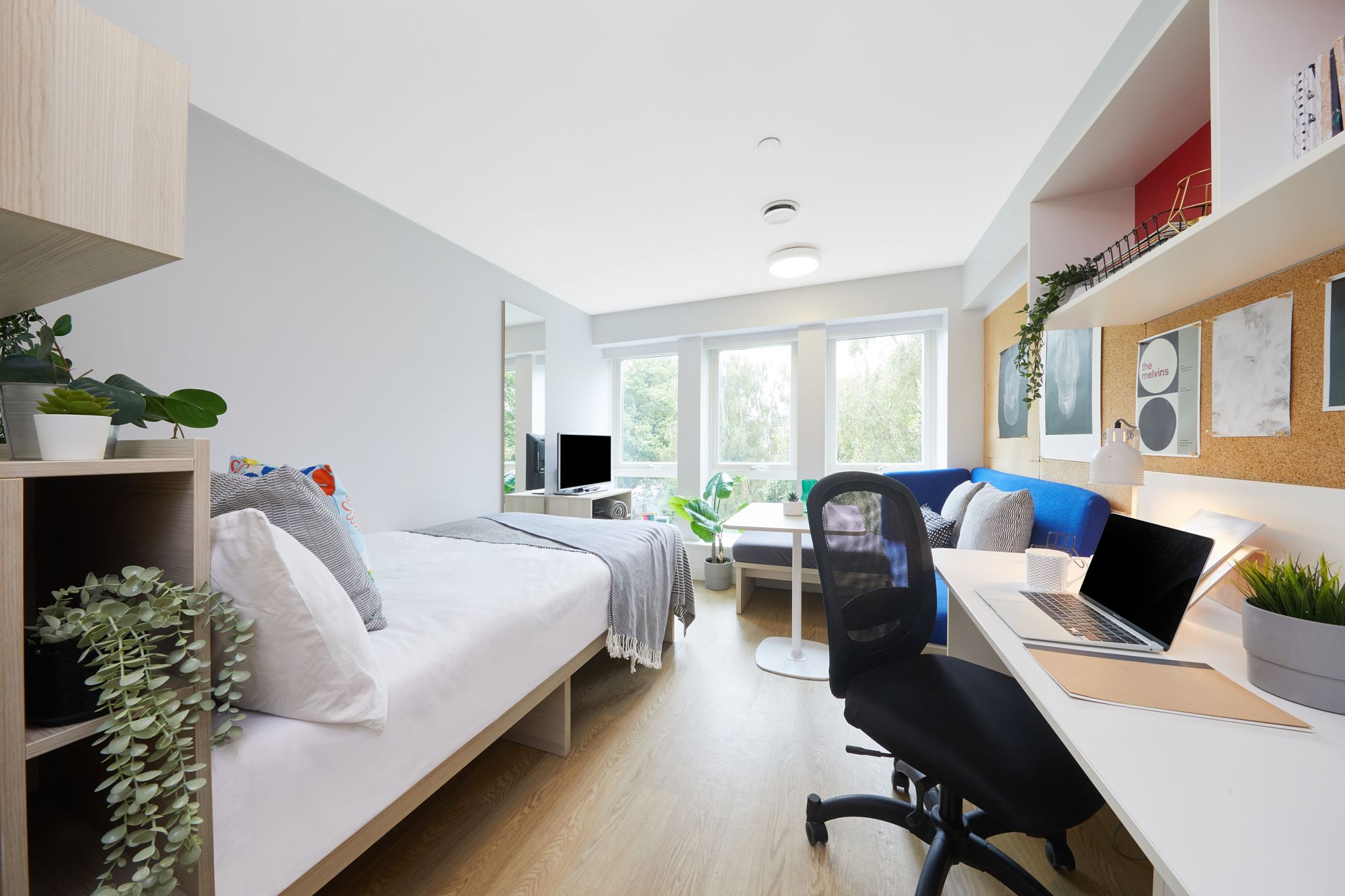  Gold Studio – Park View  -  Park House  - Gallery -  1