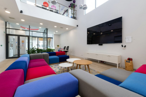 Collegiate Middle Street - Gallery - 23