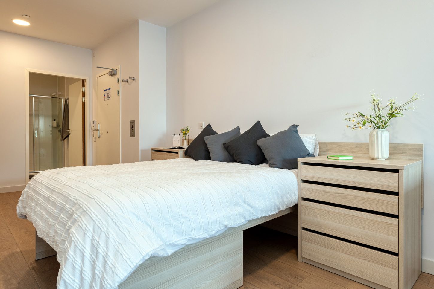 VIP Studio - Collegiate Middle Street - Gallery - 4