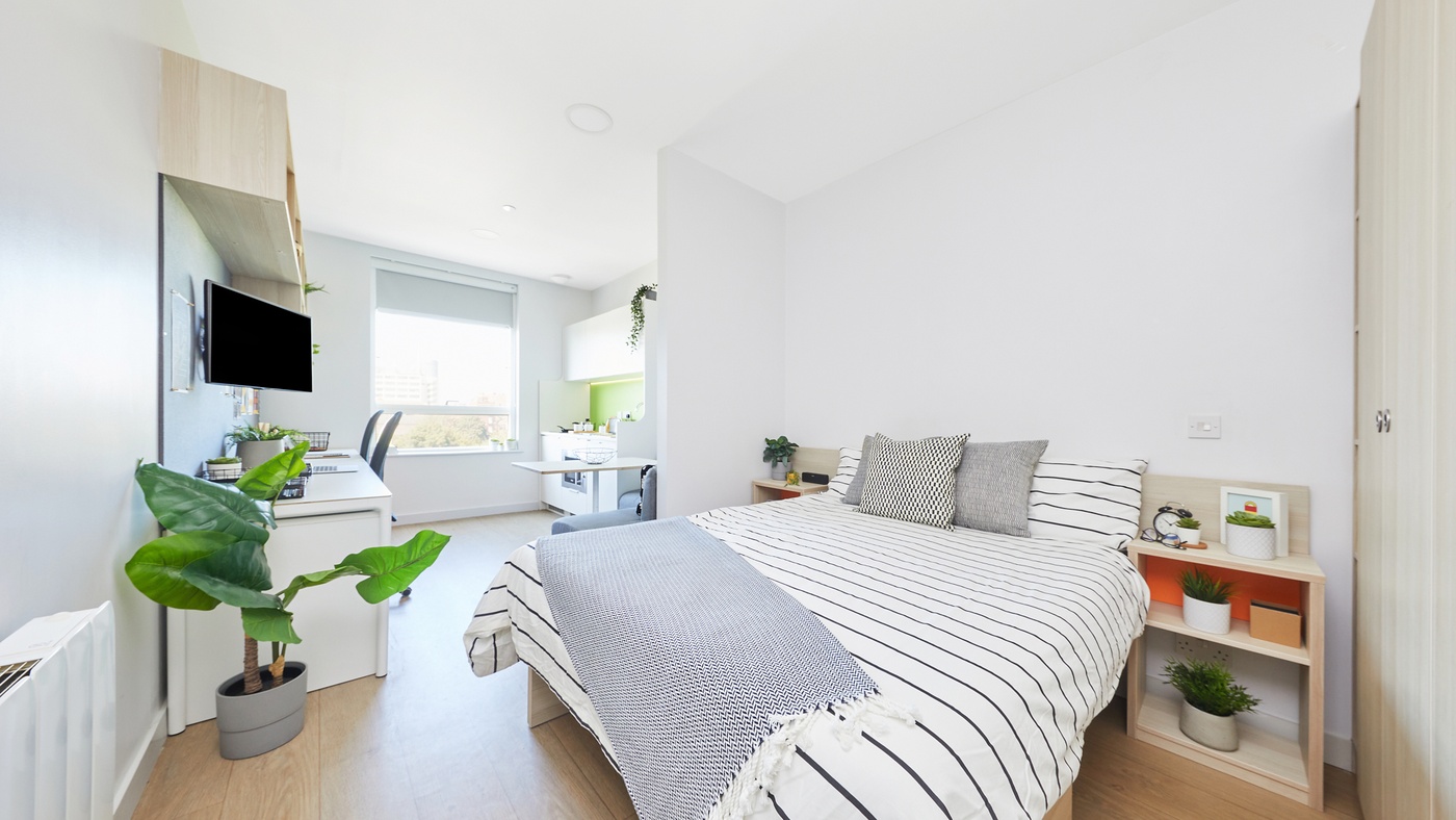 Luxury Studio - Collegiate Middle Street - Gallery - 1