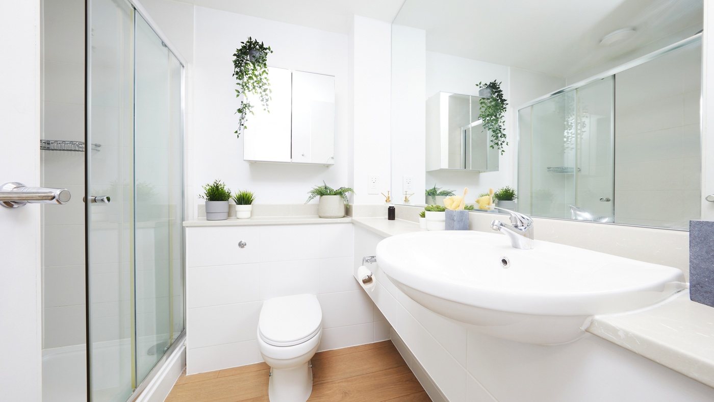  Luxury Plus Studio  -  Collegiate Middle Street  - Gallery -  2