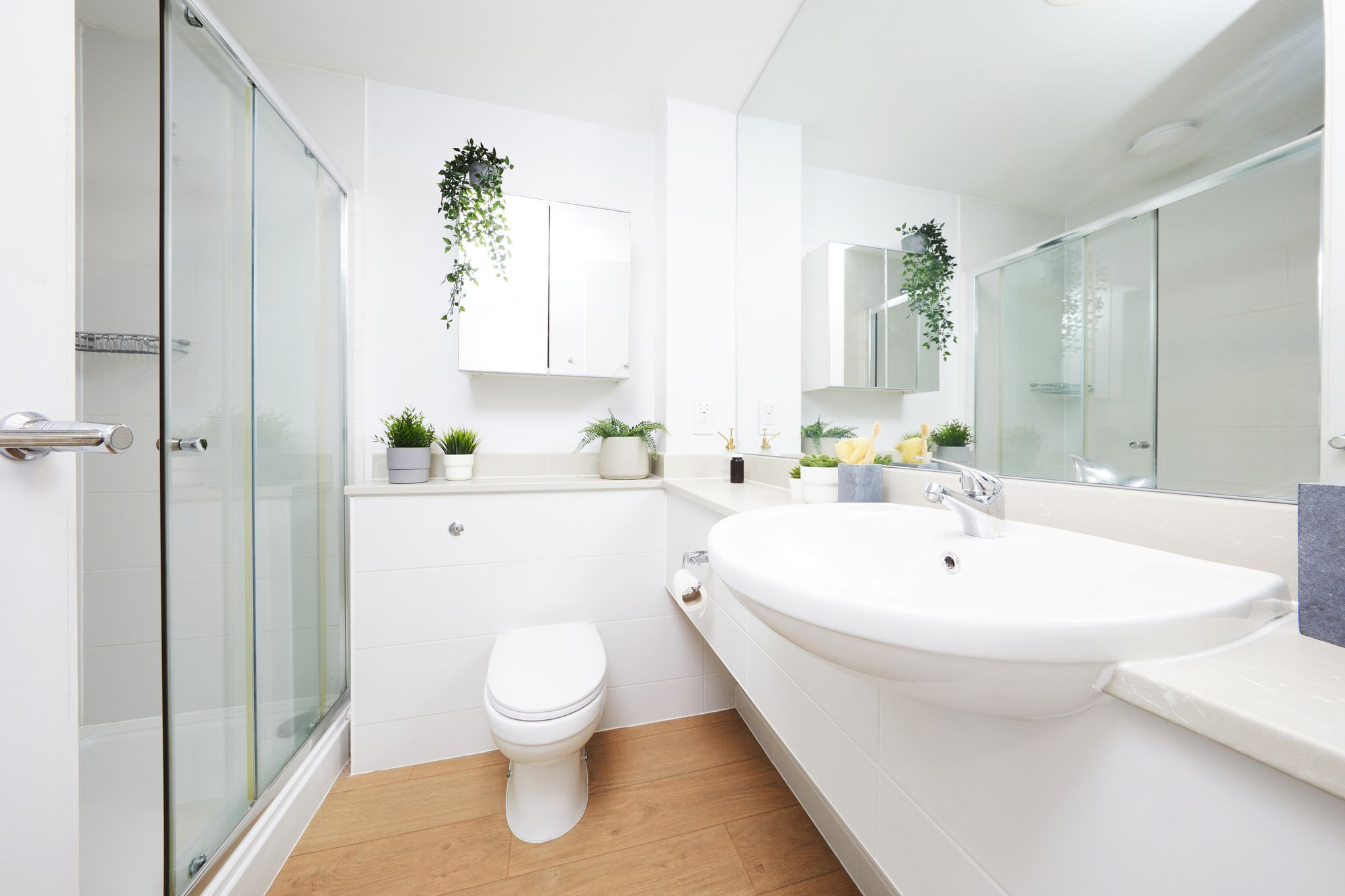  Premium Plus Studio  -  Collegiate Middle Street  - Gallery -  4