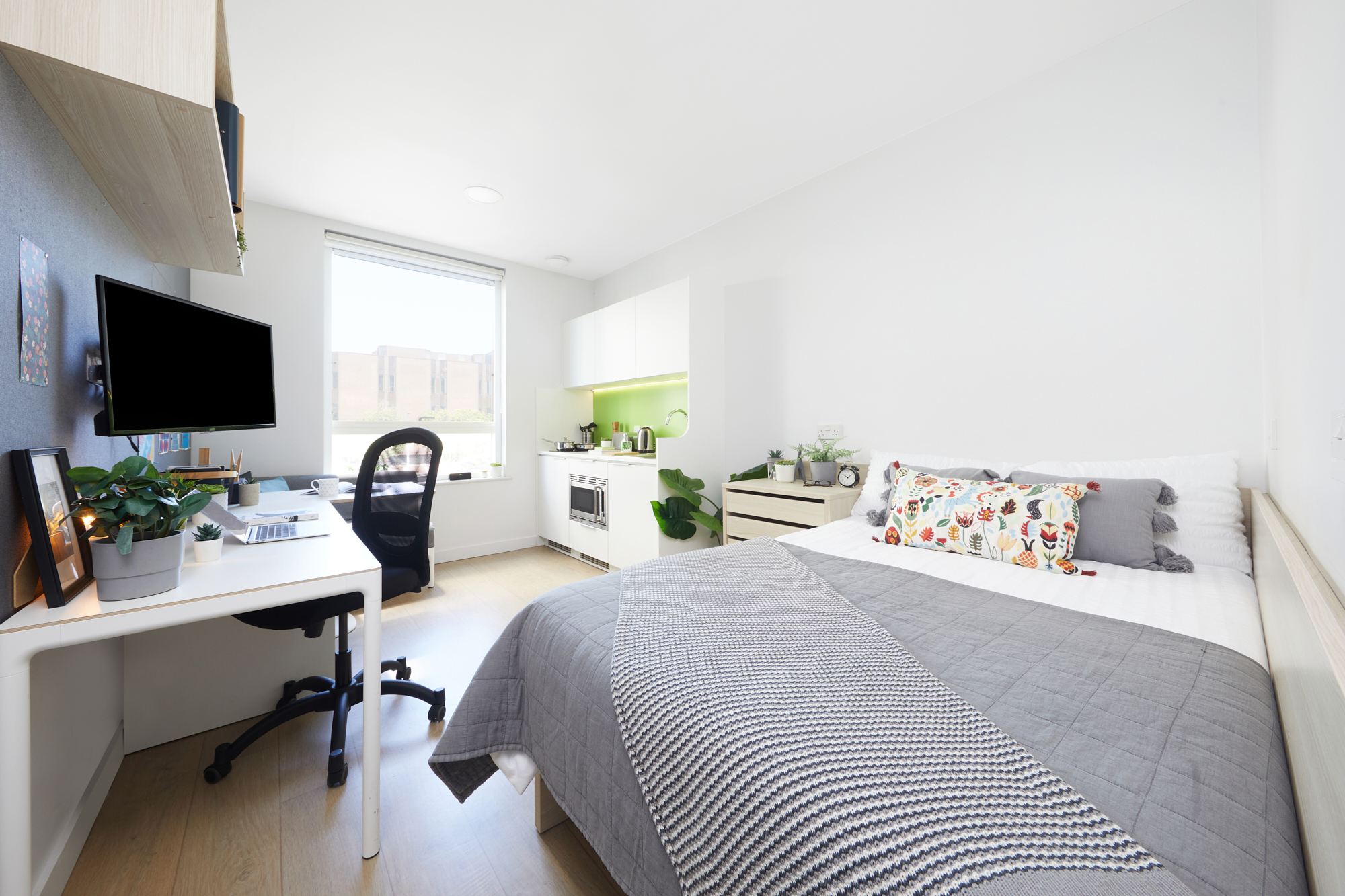 Premium Studio - Collegiate Middle Street - Gallery - 1