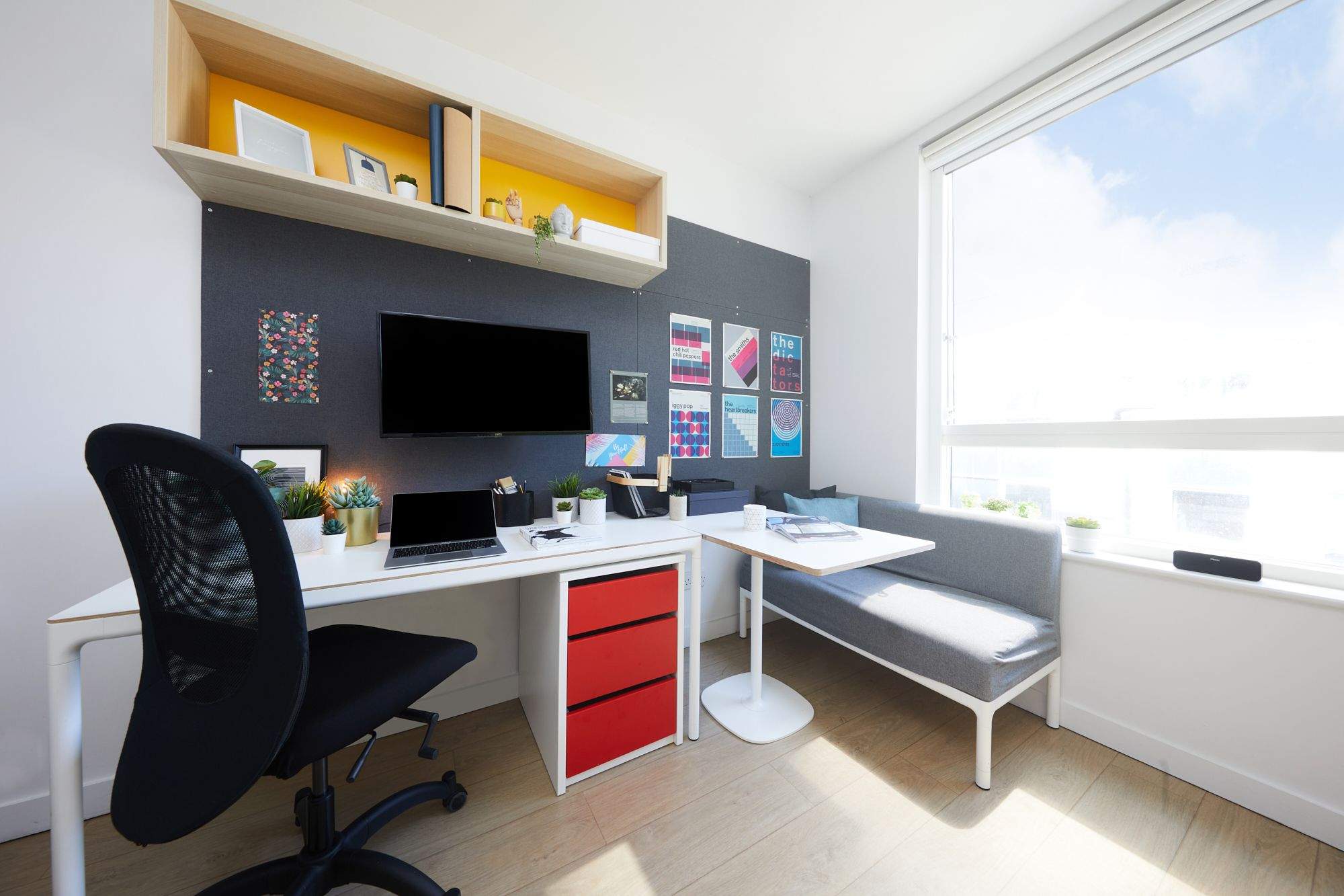  Premium Studio  -  Collegiate Middle Street  - Gallery -  5