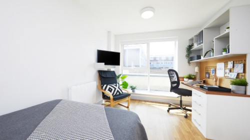 Earlsdon Street - Gallery - 13