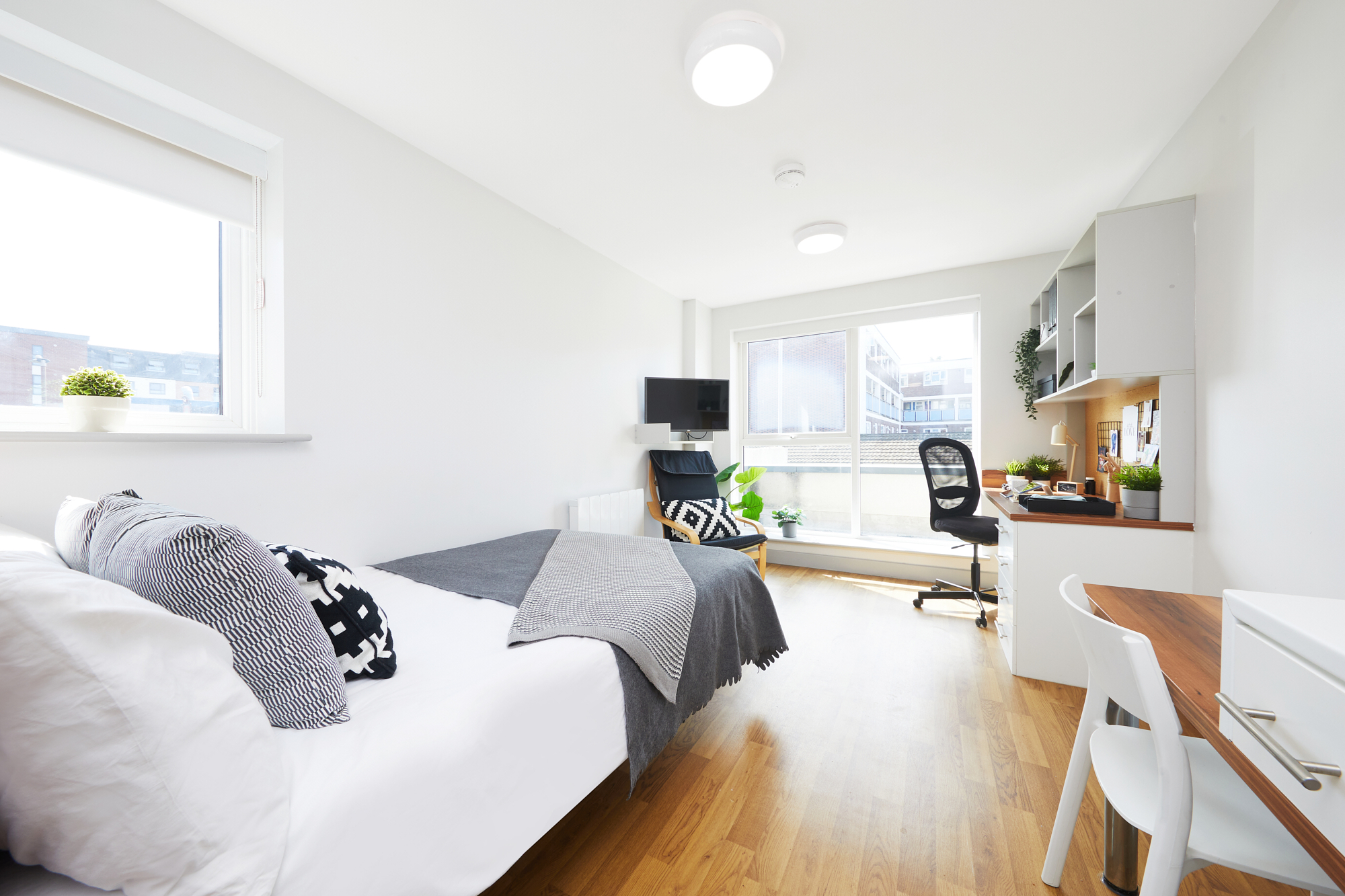  Premium Plus Studio  -  Earlsdon Street  - Gallery -  1