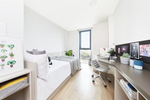 Collegiate Bagot Street - Gallery - 28