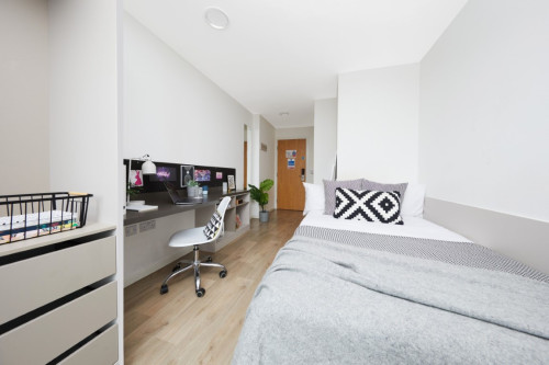 Collegiate Bagot Street - Gallery - 19