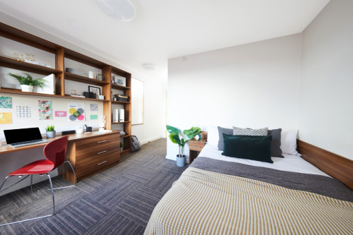 Collegiate Bagot Street - Gallery - 27